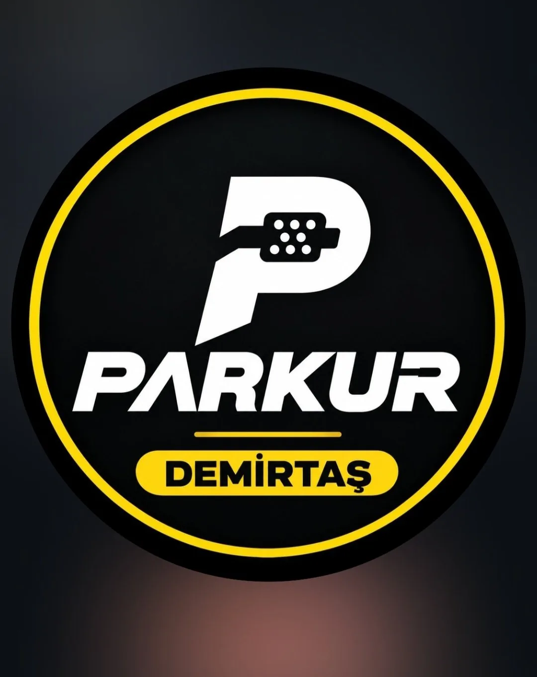 Osmangazi Partikül Katalizör Temizlik İşleri
